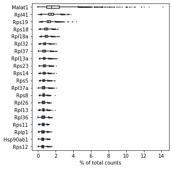 ../_images/day_06_scRNAseq_analysis_29_0.png